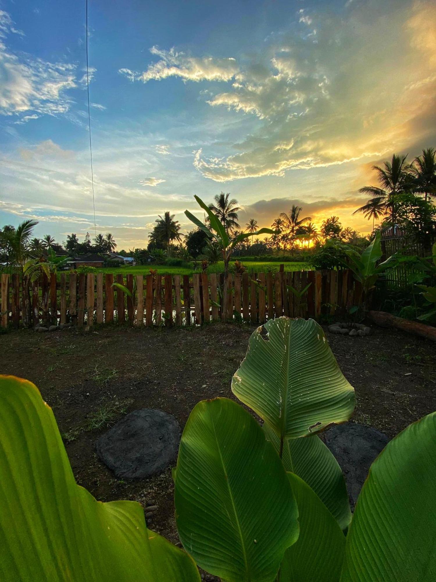 Alfarizi Homestay Tetebatu Exterior photo